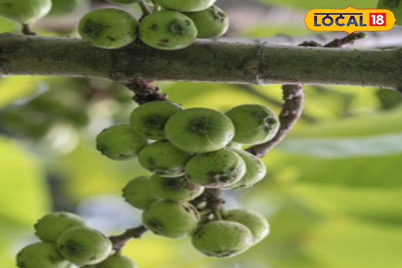 खून की शुद्धि 