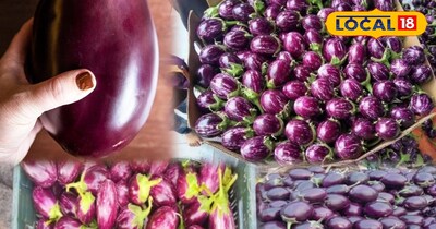 मंडी में बैगन