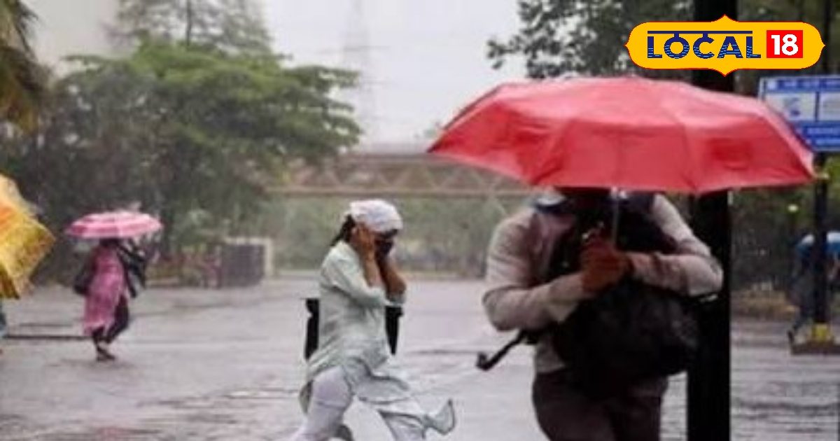 मार्च के अंत में मौसम ने मारी पलटी! हरियाणा में अगले 5 दिन कैसा रहेगा मौसम, IMD ने जारी किया अलर्ट