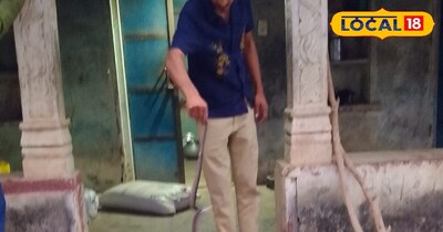 नाहर खोहरा गांव में घर में निकला कोबरा सांप 