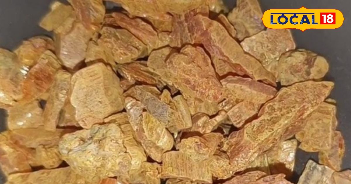 घाव हो या दाद…पीली हरताल कई रोगों में संजीवनी, आयुर्वेदिक डॉक्टर से जानें तरीका