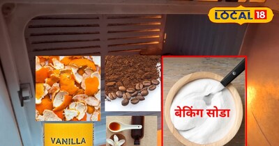 फ्रिज की बदबू दूर सुगंध पास!