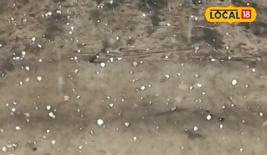 सीतामढ़ी में ओलावृष्टि का कहर: गेहूं, सरसों, आम-लीची बर्बाद, किसान चिंतित.