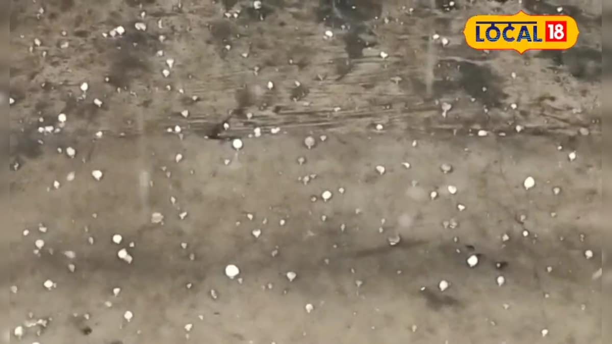 सीतामढ़ी में ओलावृष्टि का कहर, गेहूं,सरसों से लेकर आम-लीची तक बर्बाद, जानें हाल