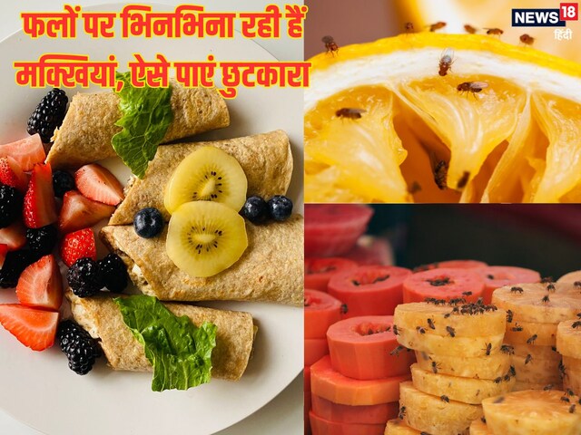 फलों पर भिनभिनाने लगती हैं मक्खियां, 3 तीजों से बनी इस लिक्विड से पाएं छुटकारा