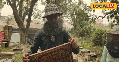 छपरा की भौगोलिक स्थिति और यहां के ग्रामीण इलाकों में मौजूद घने बगीचे इसे मधुमक्खी पालन के लिए एक आदर्श केंद्र बनाते हैं. यही कारण है कि न केवल स्थानीय बल्कि दूसरे जिलों के किसान भी यहां आकर मधुमक्खी पालन कर रहे हैं.