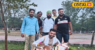 इस पहल को लेकर पश्चिमी सिंहभूम के विधायक सरयू राय ने भी रुचि दिखाई है. उन्होंने बिरला मंदिर परिसर में गोसेवा क्षेत्र विकसित करने की बात कही है, जहां इस तरह की मिनी गायों का पालन किया जाएगा. इससे लोगों को देसी नस्लों के महत्व के बारे में जानने का मौका मिलेगा.