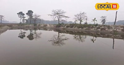 बिहार के अररिया में इन दिनों किसान खुद का स्वरोजगार सृजित कर आत्मनिर्भर बन रहे हैं. इसके साथ ही दूसरों को भी आत्मनिर्भर बनने की प्रेरणा दे रहे हैं. ऐसे ही एक किसान अररिया के रानीगंज क्षेत्र के नीरज उर्फ निक्कू कुमार झा हैं. वह मछली पालन कर एक सीजन में 3 लाख की कमाई आसानी से कर लेते हैं. इससे पहले इस तालाब वाली जमीन पर वह खेती करते थे. 