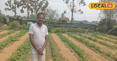 कृषि वैज्ञानिक से सलाह लेकर श्रीनिवास कुमार ने ट्रायल के तौर पर 5 कट्ठा में धान की भूसी का इस्तेमाल मल्चिंग के रूप में कर रहे हैं. श्रीनिवास कुमार किसान के साथ-साथ जैविक खेती के प्रशिक्षक भी हैं और राज्य के कई जगहों पर जाकर किसानों को जैविक खेती का प्रशिक्षण देते हैं. इस तकनीक के बारे में जानकारी देते हुए इन्होंने बताया कि खेतों में खरपतवार के नियंत्रण के लिए किसान प्लास्टिक मल्चिंग का इस्तेमाल करते हैं, लेकिन प्लास्टिक मल्चिंग के कई नुकसान भी हैं.