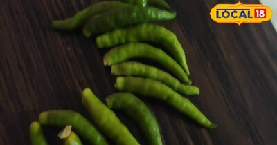 फ्रिज में ऐसे रखें हरी मिर्च