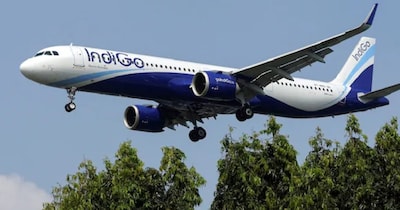 इंडिगो अपनी इंटरनेशनल फ्लाइट्स के लिए समर शेड्यूल जारी करेगा.