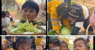 India vs China Kindergarten: भारत और चीन की किंडरगार्टन एजुकेशन में काफी अंतर है