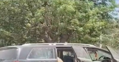 আহমেদাবাদে ৮ মাস ধরে পার্ক করা মার্সিডিজ থেকে মৃতদেহ উদ্ধার, হাতে ট্যাটুতে পরিচয় জানার চেষ্টা