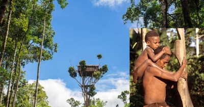 पेड़ों पर रहते हैं ये आदिवासी, नरभक्षी और अंधविश्वासी, महिलाएं जीती हैं नर्क जैसी जिंदगी.