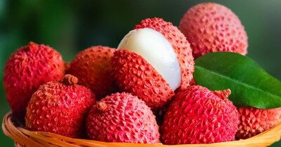 यहां के किसान कई पीढ़ियों से लीची की खेती करते आ रहे हैं.