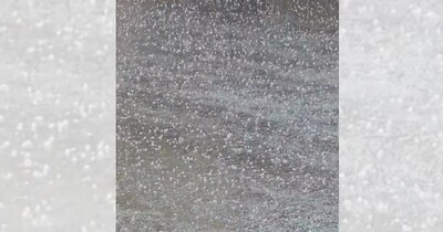 MP में बेमौसम बारिश और ओलावृष्टि से किसानों की बढ़ी चिंता, फसलों को भारी नुकसान