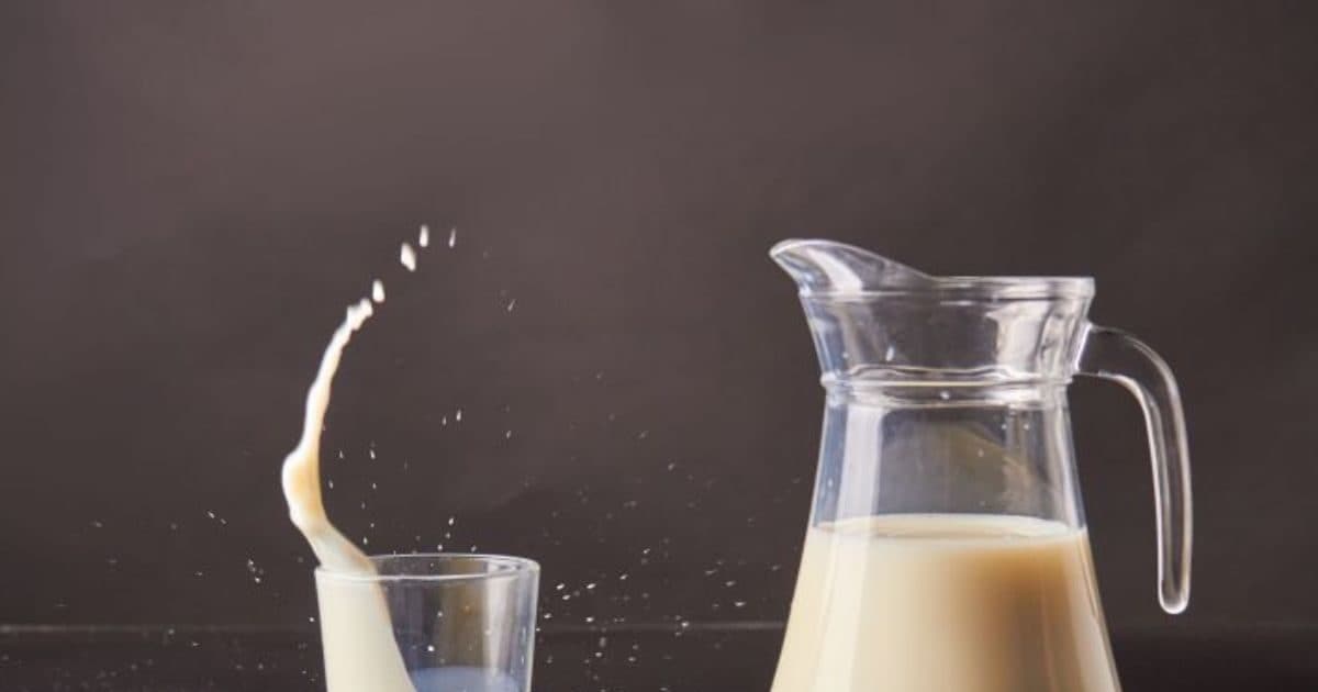 Andhra Milk Adulteration Tragedy | Andhra Milk Adulteration Tragedy Total 16 death | मिलावटी दूध से मचा त्राहिमाम, मरने वालों की संख्या बढ़कर 16