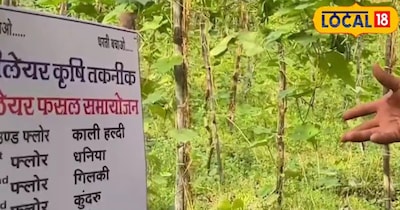 मल्टीलेयर फार्मिंग फायदे. 