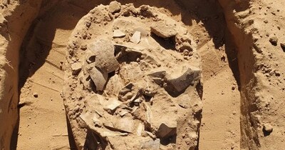 खुदाई में किचन के पास शुतुरमुर्ग के अंडे मिले.