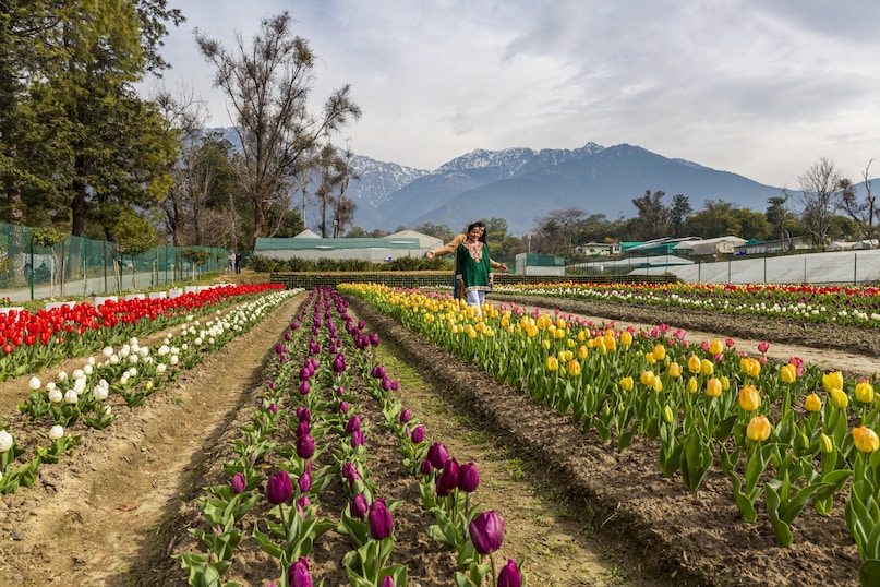 PTI02 10 2026 000125B 2026 03 c63ca37a636a0b13b3be1df587ad303c scaled