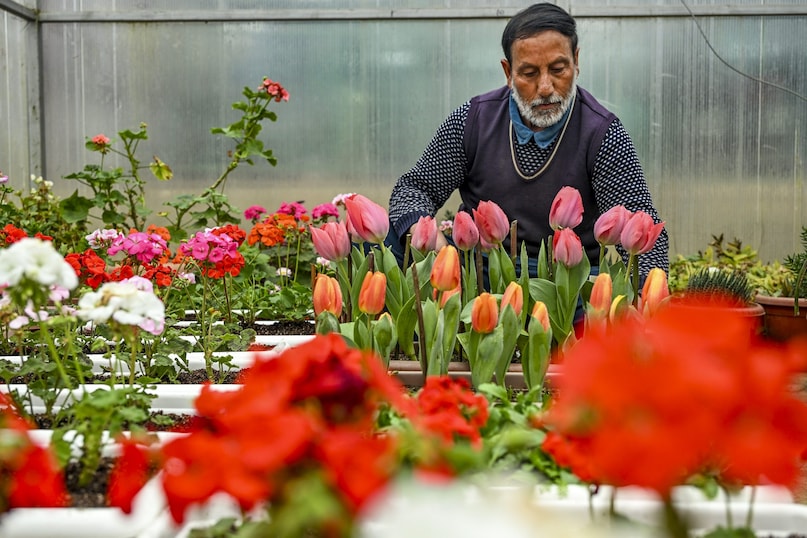 PTI02 10 2026 000340B 2026 03 2dc8a782fa3e63adc63f1c7146521dfc scaled