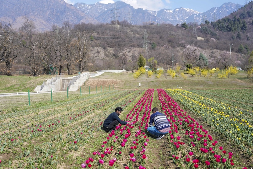 PTI03 19 2025 000277B 2026 03 4625336a77626185f916fd27023d756e scaled