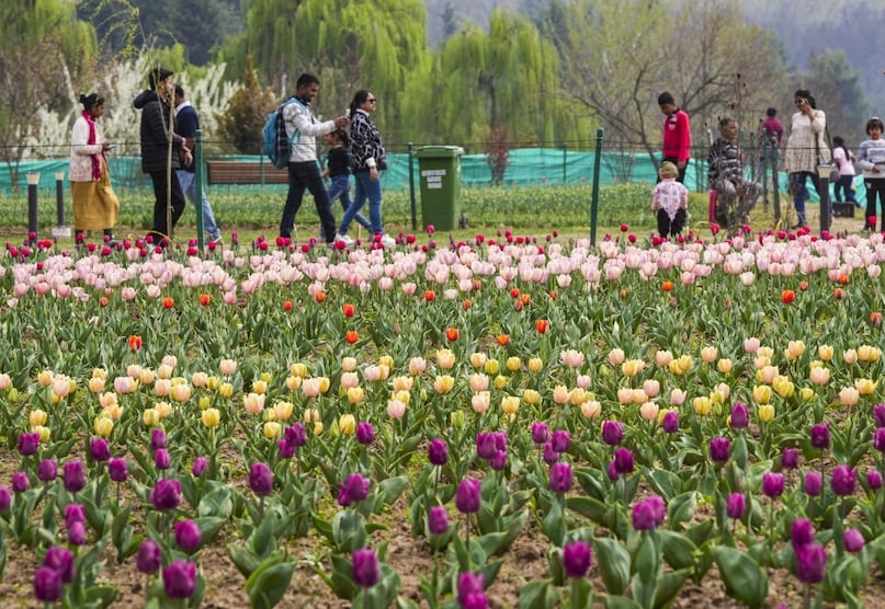 PTI03 26 2025 000137B 2026 03 84a859fc1cb9ce10ee073e611f2ba05d scaled