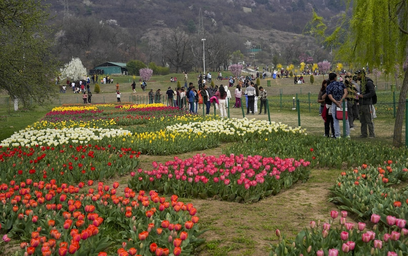 PTI03 26 2025 000139B 2026 03 fdcb612f0b87776b9d10cabcfd1b8a73 scaled