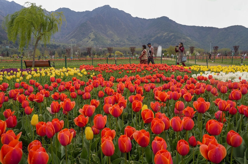 PTI04 03 2024 000231B 2026 03 3a4225b6891ce7bc81c03793264cb450 scaled