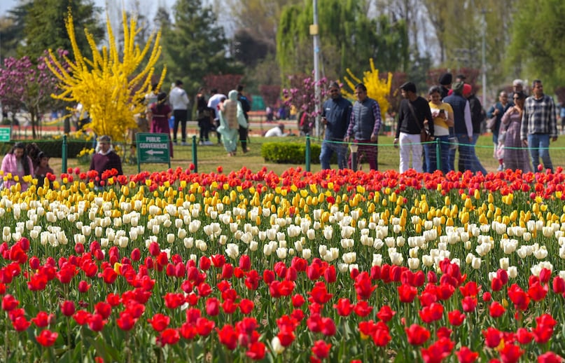 PTI04 03 2024 000232B 2026 03 05c70ec034b64644debe31de65da8085 scaled