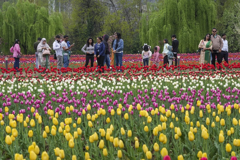 PTI04 09 2025 000225B 2026 03 013dc4435354be26406178c0b6336638 scaled