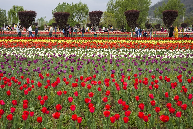 PTI04 09 2025 000226B 2026 03 3acac0cb1c599a3a95d72a1dbe8a58a4 scaled