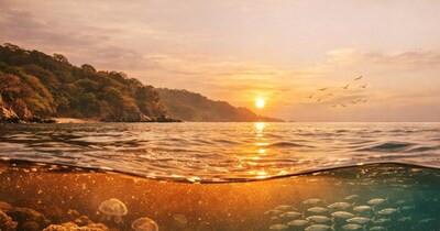 कोरल रीफ पर मंडराया मौत का साया, पनामा के तट पर क्यों नहीं आया ठंडा पानी? (AI Photo)