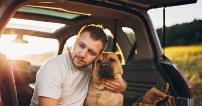 इस देश में पालतू जानवर के बीमार होने पर ले सकते है छुट्टी(फोटो: Canva AI) 