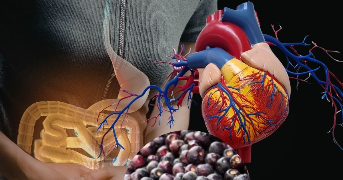 गर्मियों में मिलने वाले ये सेहत के लिए वरदान, पाचन से दिल तक सेहत को रखता है दुरुस्त