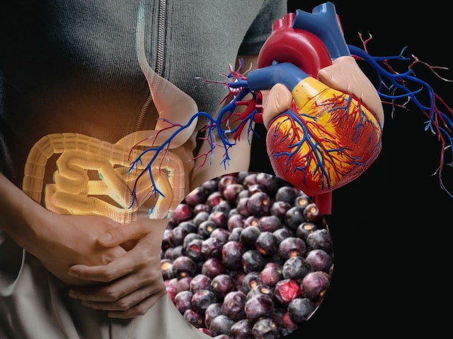 गर्मियों में मिलने वाले ये सेहत के लिए वरदान, मिलते हैं ये जबरदस्त फायदे