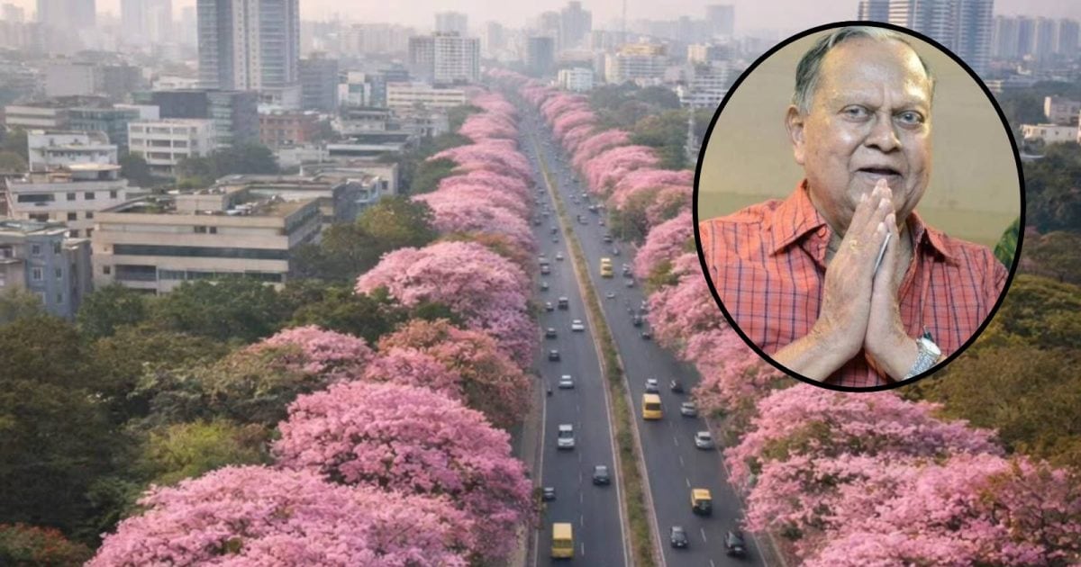 गर्मियों आते ही गुलाबी हुआ बेंगलुरु, कैसे अचानक फूलों से ढक गया शहर? जानें नेगीनहाल और जादुई पेड़ों की कहानी