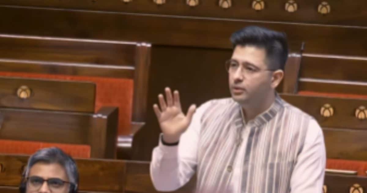 बच्चे सिर्फ मां की नहीं, पिता की भी जिम्मेदारी, संसद में राघव चड्ढा ने उठाया पैटरनिटी लीव का मुद्दा