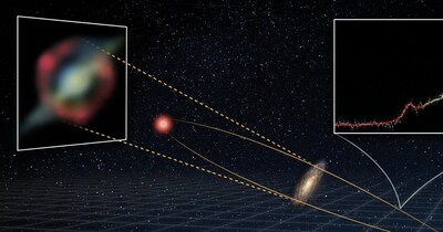 8 बिलियन प्रकाश वर्ष दूर मौजूद गैलेक्सी (लाल रंग में) का इलस्ट्रेशन. (Credit: Inter-University Institute for Data-Intensive Astronomy (IDIA))