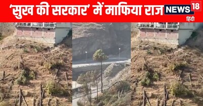 गुरुवार को शिलाई में पेट्रोल पंप के पास घासनियों में दर्जनों चीड़ के पेड़ काट कर फेंके गए. 