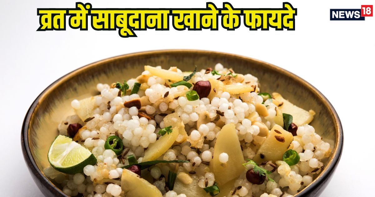 नवरात्रि व्रत में थकान दूर कर देगा ये पौष्टिक आहार, दिन भर रहेंगे एनर्जी से भरपूर