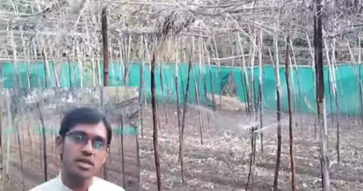 खेत में AC लगाकर सर्दी की फसल उगाएंगे, किसान का मई-जून में 4-5 गुना मुनाफा कमाने का प्लान