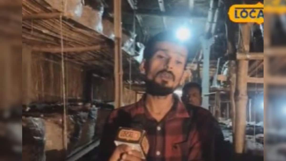 Video: मशरूम उत्पादन का हिट इंजीनियरिंग जुगाड़! 2.50 लाख लगा 3 दोस्त मालिक बन 8 को दे रहे सैलरी