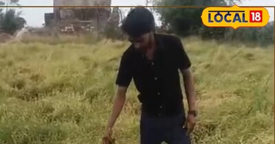 छोटे किसानों के लिए वरदान कलौंजी की खेती, 5 हजार लगाकर 60 हजार कमाएं