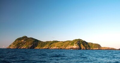 स्नेक आयलंड: जिथे सापाचे विष मानवी मांस वितळवते, जिवंत परत येण्याची हमी नाही