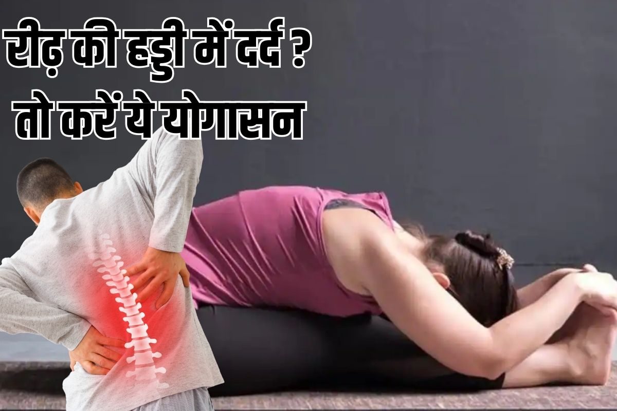 पश्चिमोत्तानासन करने से क्या होता है? रीढ़ को मजबूत करने समेत मिलने वाले ये फायदे चौंका देंगे