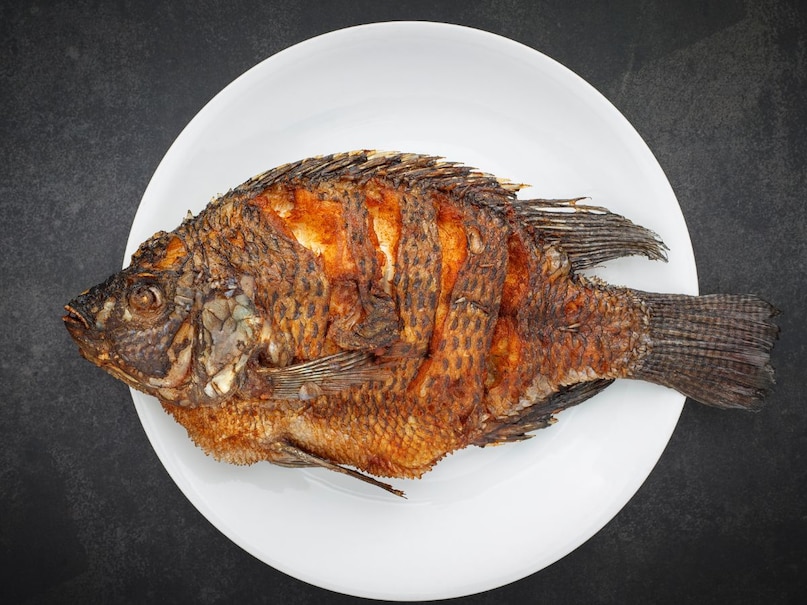 डिस्क्लेमेर: यह रिपोर्ट केवल आपकी जानकारी के लिए लिखी गई है. हमने इस लेख में केवल सामान्य ज्ञान और दैनिक जीवन से संबंधित जानकारी साझा की है. यदि आप अपने स्वास्थ्य, जीवन या विज्ञान से संबंधित कोई जानकारी पढ़ते हैं, तो उसे स्वीकार करने से पहले किसी विशेषज्ञ से परामर्श अवश्य लें.