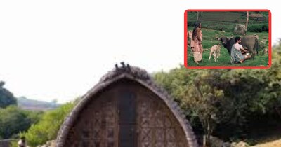 India's Toda Tribe: Strange Traditions, Polyandry, and Sacred Buffalo Worship