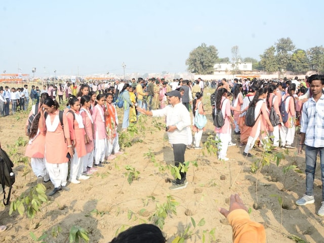 1 घंटे में लगा डाले 25 लाख पौधे, काशी ने तोड़ा चीन का वर्ल्ड रिकॉर्ड