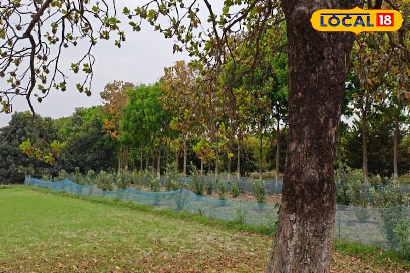 স্বাস্থ্য